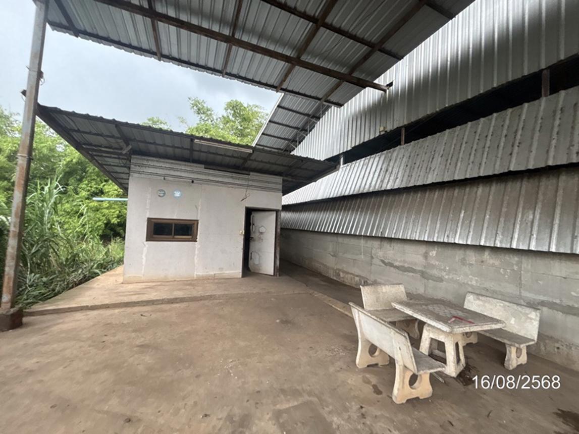รูป อาคารโรงงาน 2362 ตร.วา เฉลิมพระเกียรติ นครราชสีมา 9.7M - รูปที่ 33/41