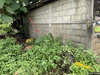 listing thumbnail image 14