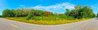 listing thumbnail image 15