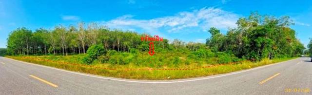 picture LAND 1539 Sq.w. Mae Lan Pattani for 1.4M - 16/19
