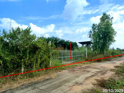 โรงงาน พยัคฆภูมิพิสัย มหาสารคาม : โกดัง 12659 ตร.วา พยัคฆภูมิพิสัย มหาสารคาม 5.4M