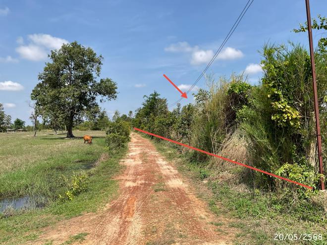รูป โกดัง 4800 ตร.วา พิบูลมังสาหาร อุบลราชธานี 6.4M - รูปที่ 12/31