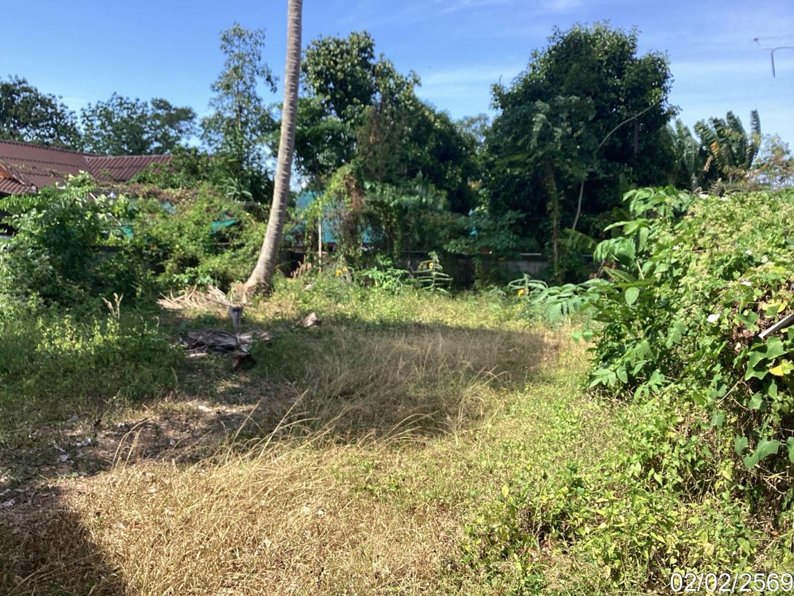 รูป บ้านเดี่ยว 282 ตร.วา สะเดา สงขลา 1.9M - รูปที่ 37/43