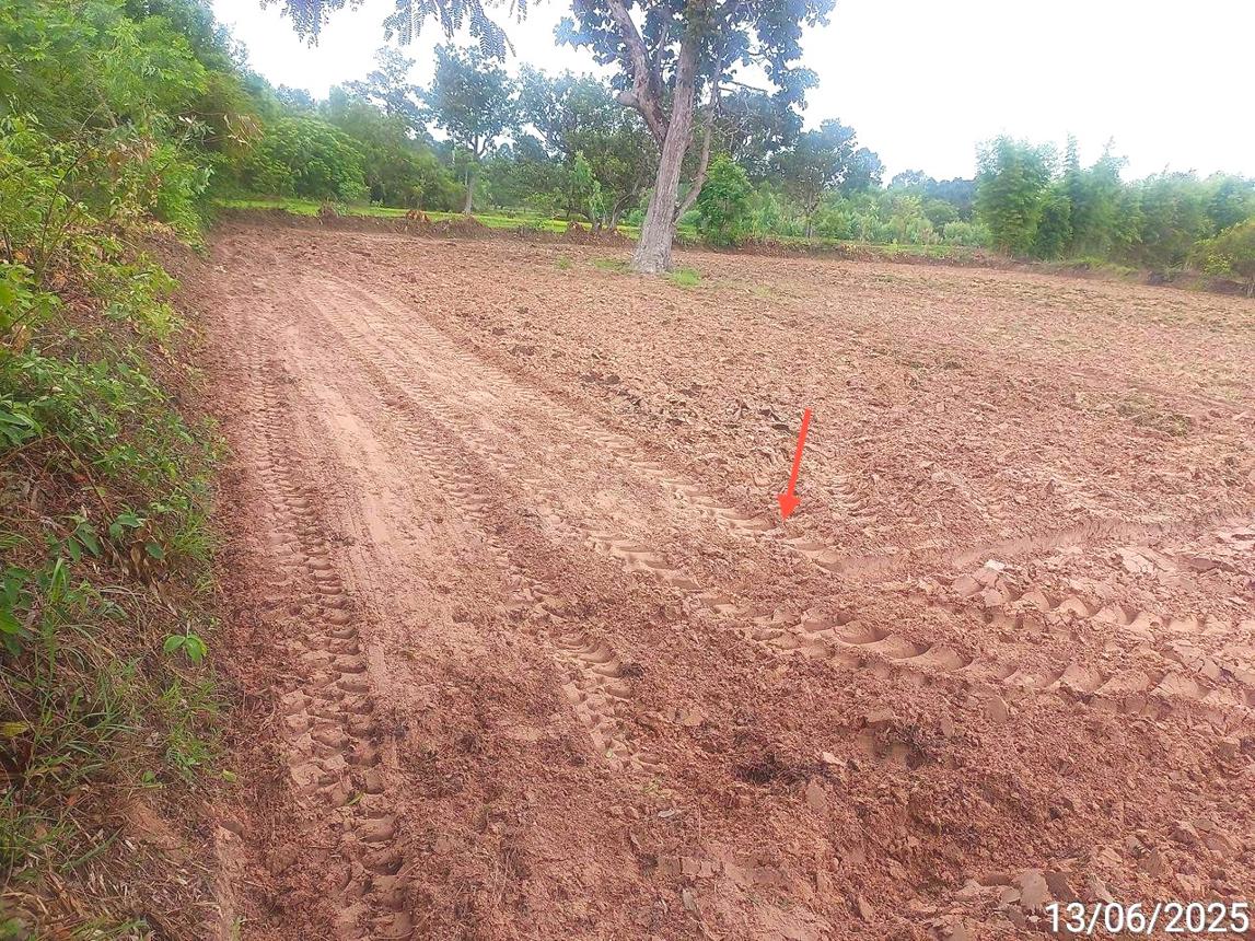 picture HOME 1931 Sq.w. Khuang Nai Ubon Ratchathani for 1.7M - 14/21