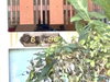 listing thumbnail image 11
