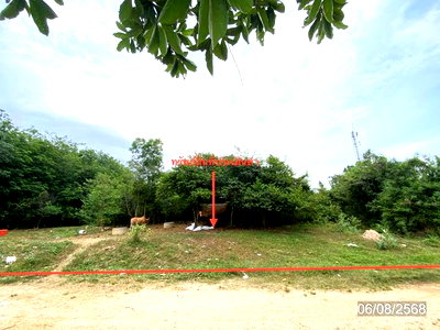 ที่ดิน หาดใหญ่ สงขลา : ที่ดินว่างเปล่า 99.8 ตร.วา หาดใหญ่ สงขลา 593,000