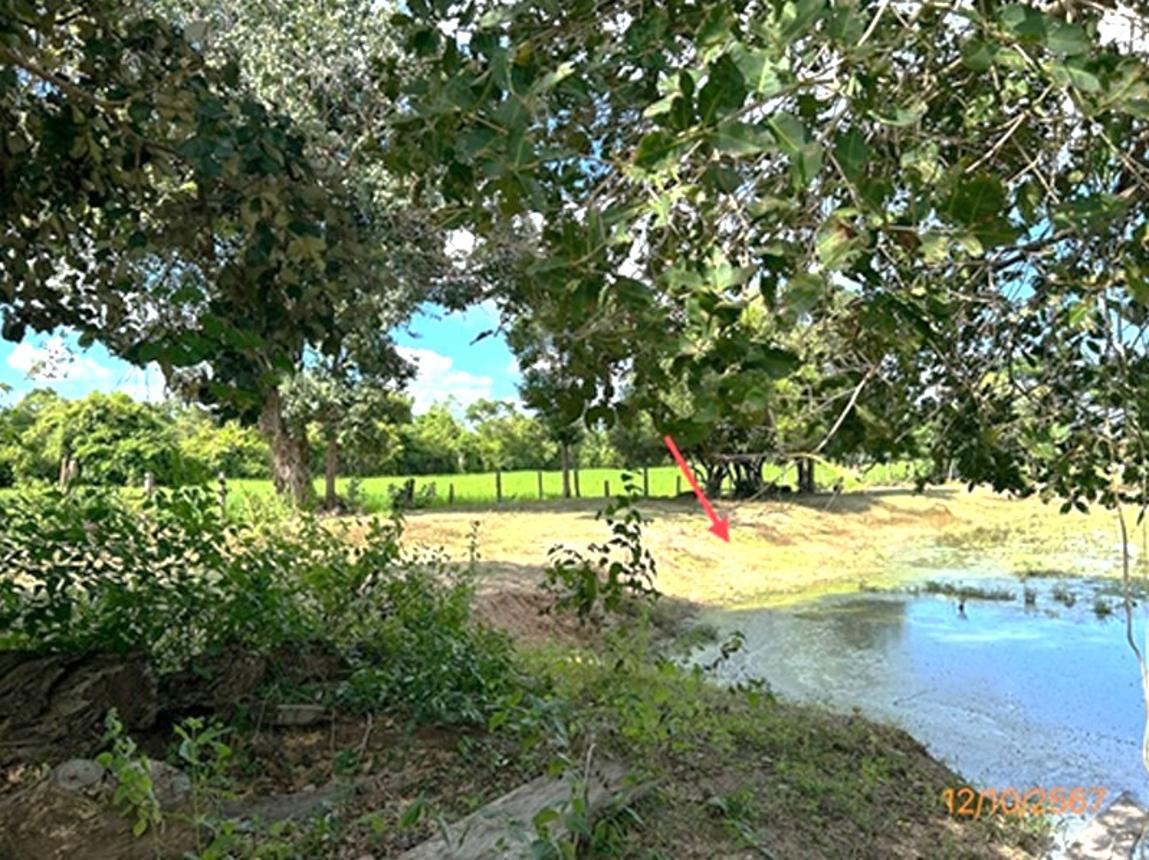 picture LAND 985 Sq.w. Khuang Nai Ubon Ratchathani for 1.2M - 14/19