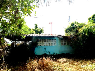 บ้านเดี่ยว ชัยนาท : บ้านเดี่ยว 176 ตร.วา เมืองชัยนาท ชัยนาท 1.1M