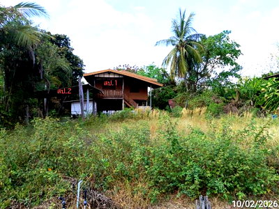 บ้านเดี่ยว ทับคล้อ พิจิตร : บ้านเดี่ยว 200 ตร.วา ตะพานหิน พิจิตร 1.1M