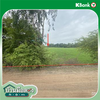 listing thumbnail image 22