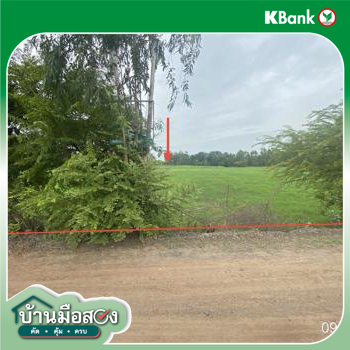 รูป ที่ดินว่างเปล่า 1235 ตร.วา เกษตรวิสัย ร้อยเอ็ด 1.2M - รูปที่ 23/25