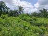 listing thumbnail image 20