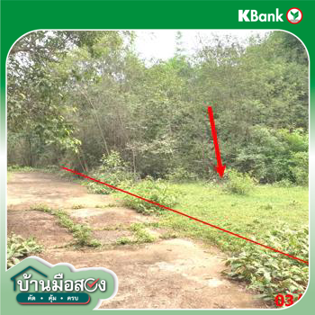 picture LAND 110.9 Sq.w. Muang Lampang Lamphang for 209,000 - 13/15