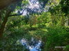 listing thumbnail image 20
