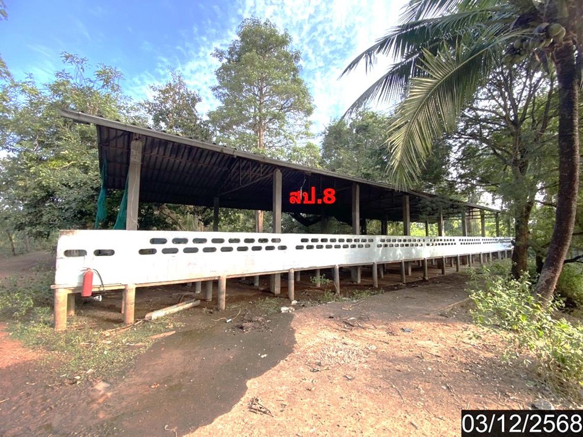 รูป บ้านเดี่ยว 17362 ตร.วา ประจักษ์ศิลปาคม อุดรธานี 16.2M - รูปที่ 40/49