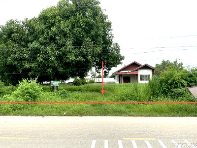 Houses for sale Nakhon Sawan : HOME 384 Sq.w. Lat Yao Nakhon Sawan for 1.2M