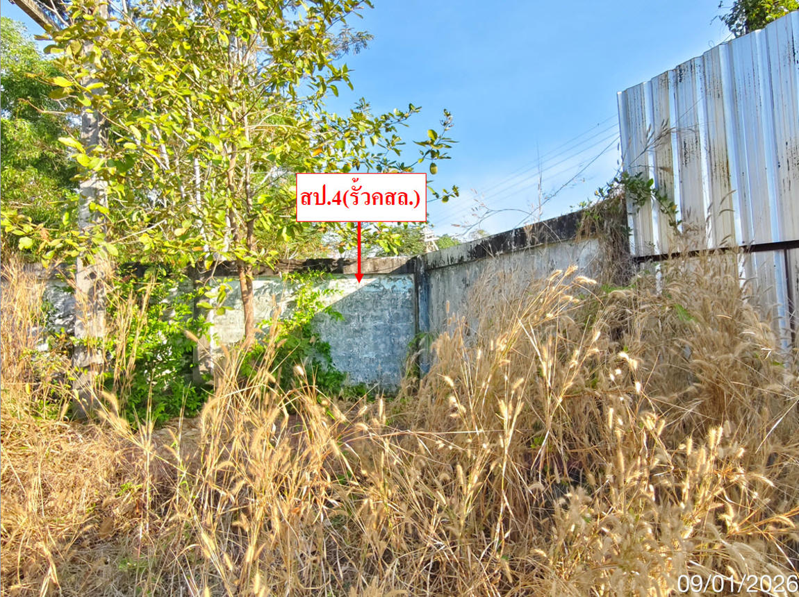 รูป โกดัง 798.9 ตร.วา แกลง ระยอง 4.2M - รูปที่ 34/39