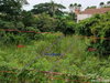 listing thumbnail image 7
