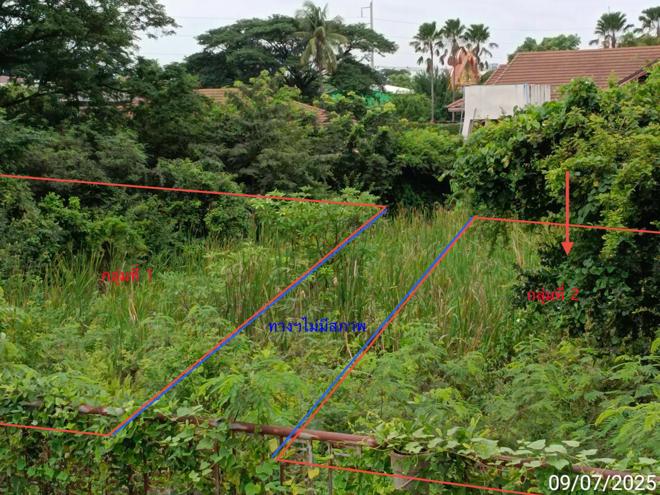 picture LAND 2134.8 Sq.w. Wichian Buri Phetchabun for 4.2M - 8/21