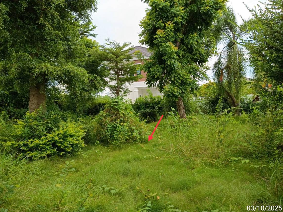 รูป บ้านเดี่ยว 136 ตร.วา ธาดา แกรนด์ นางรอง บุรีรัมย์ 5.5M - รูปที่ 40/45