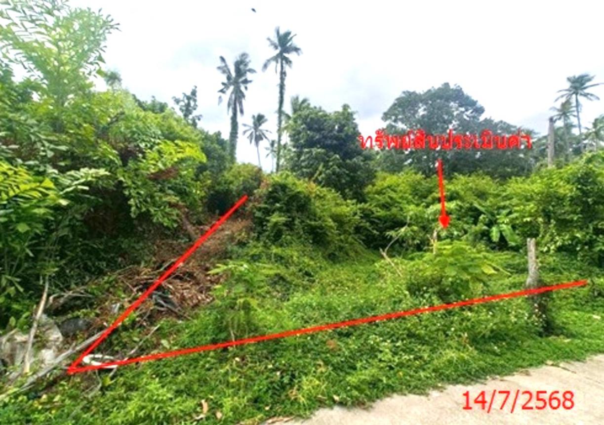 รูป ที่ดินว่างเปล่า 1708 ตร.วา เกาะสมุย สุราษฎร์ธานี 12.7M - รูปที่ 9/17