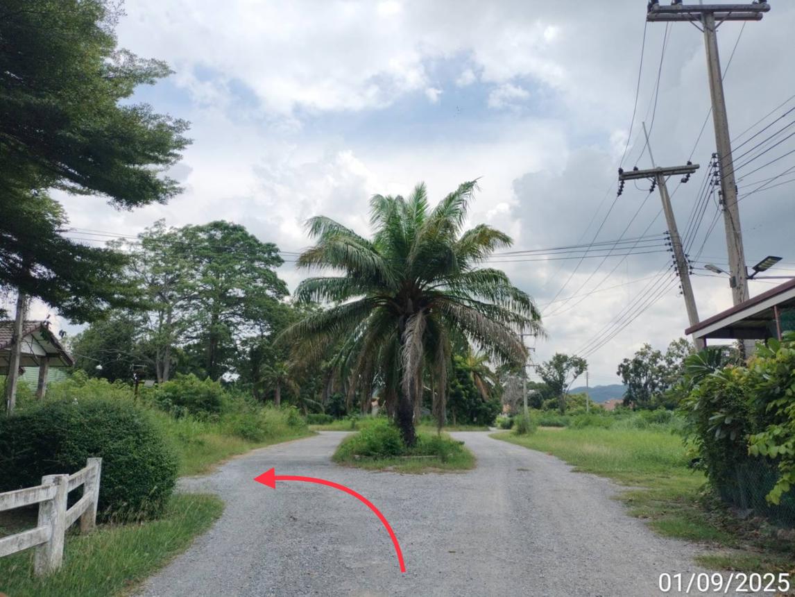 picture LAND 238 Sq.w. Muak Lek Saraburi for 333,000 - 14/19
