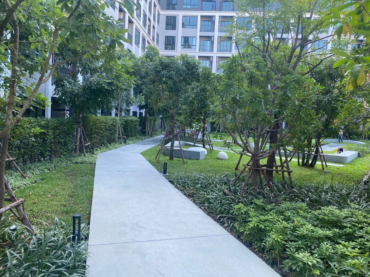 รูป 🔥ด่วน ห้องไปไวมากกก Code: 26KJ5034  ให้เช่า dcondo Campus Resort Rangsit  ✅ Add Line @kjcondo (มี@ข้างหน้าด้วยนะคะ) - รูปที่ 10/16