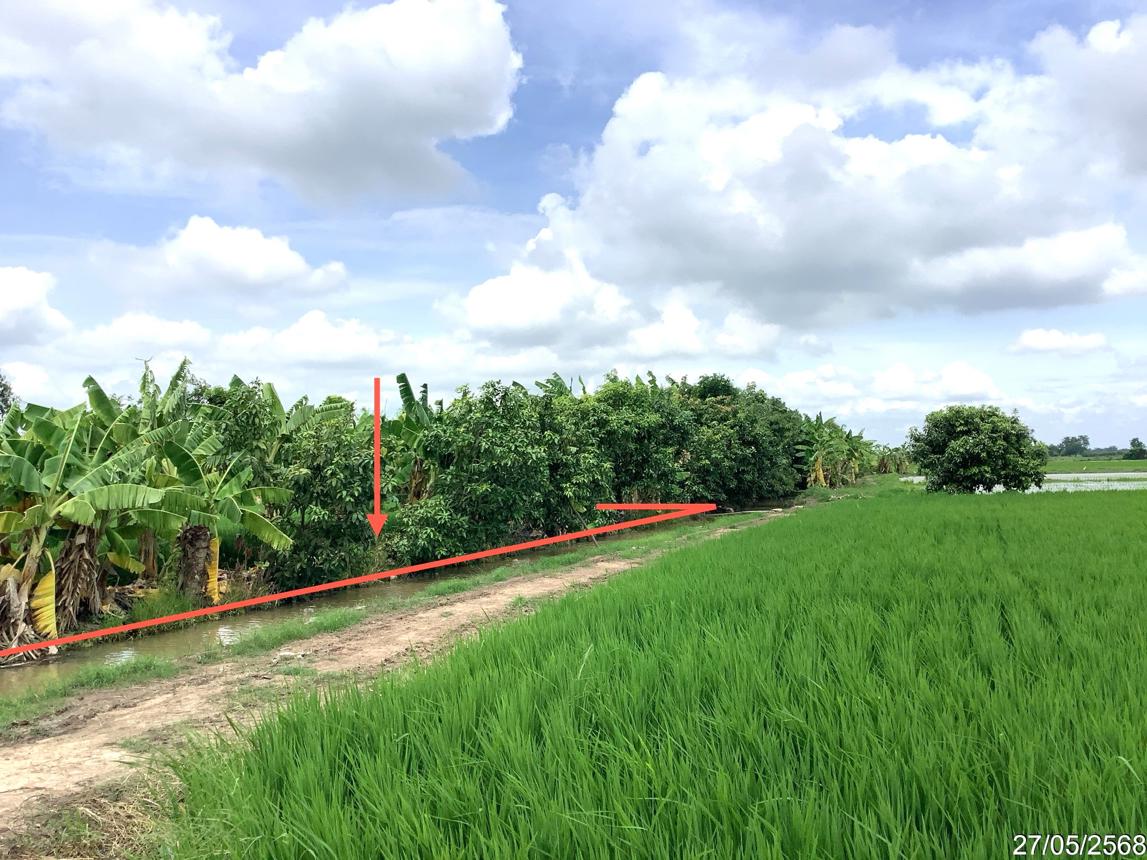 picture LAND 4246 Sq.w. Khlong Khlung Kamphaeng Phet for 4.2M - 13/25