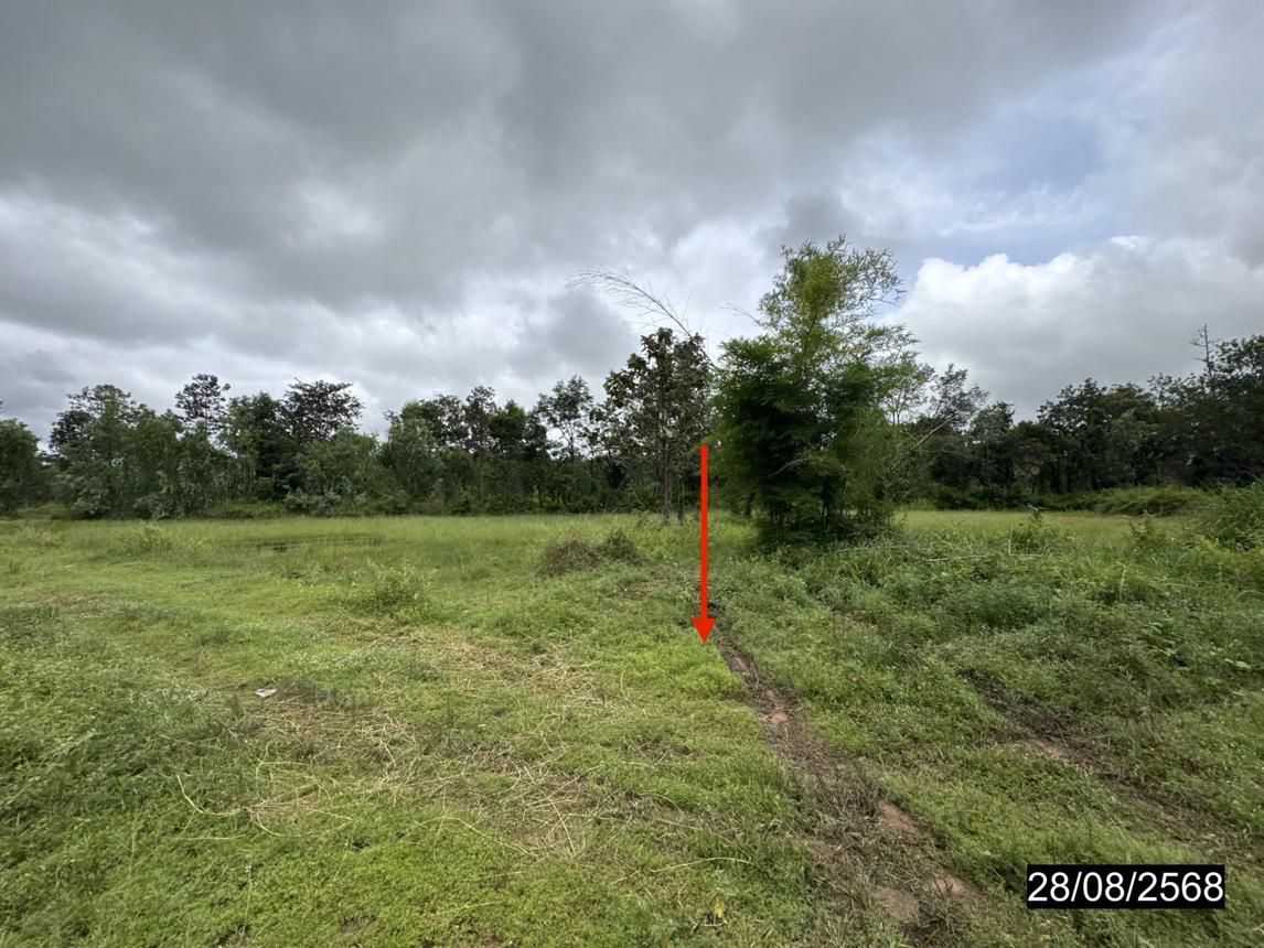 picture LAND 5200 Sq.w. Senangkhanikhom Amnat Charoen for 3.7M - 16/25