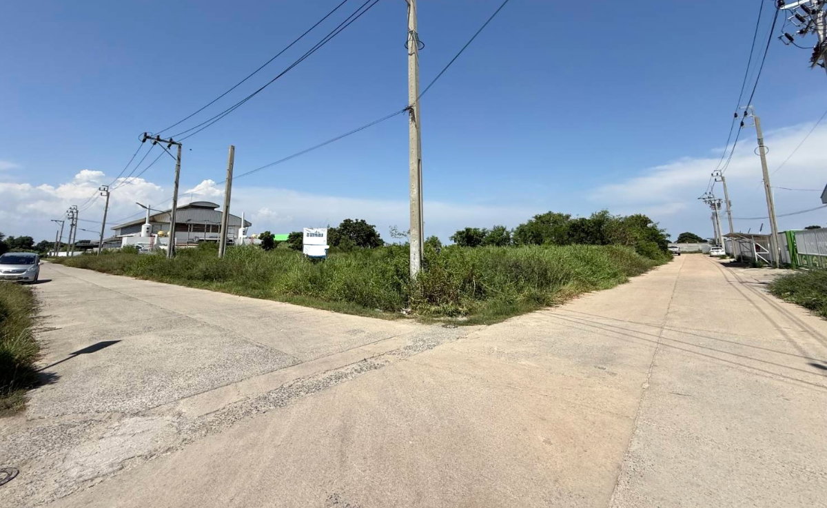 picture Factory & Warehouse Land for Sale in Suwanabutr Project – Lowest Price in the Project! - 2/5