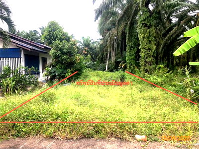 Land for sale Chaiya Surat Thani : LAND 67 Sq.w. Chaiya Surat Thani for 273,000