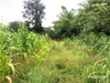 listing thumbnail image 11