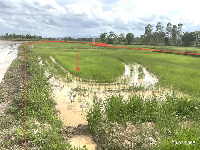 รูป ที่ดินว่างเปล่า 1292.7 ตร.วา เมืองพะเยา พะเยา 668,000 - รูปที่ 1/21