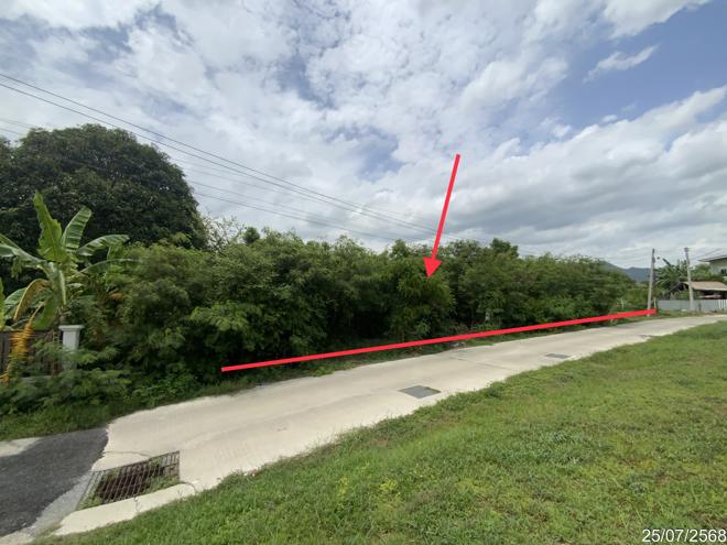 picture LAND 292 Sq.w. Muang Lop Buri Lopburi for 1.6M - 4/17