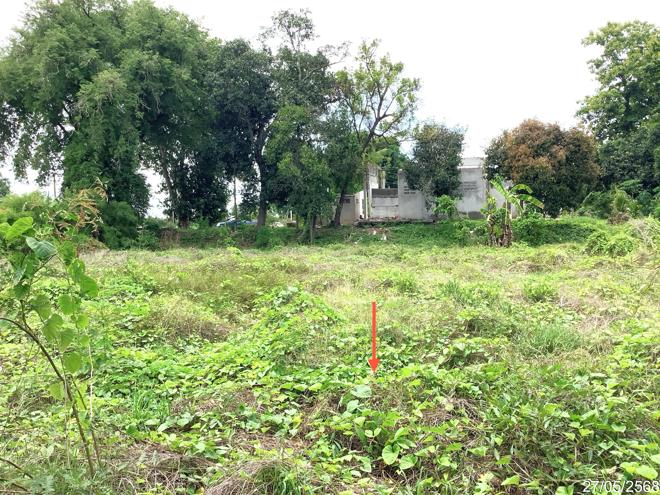 picture LAND 4246 Sq.w. Khlong Khlung Kamphaeng Phet for 4.2M - 7/25