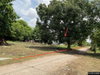 listing thumbnail image 40