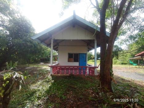 รูป บ้านเดี่ยว 1081 ตร.วา ศรีวิไล บึงกาฬ 3.4M - รูปที่ 38/41