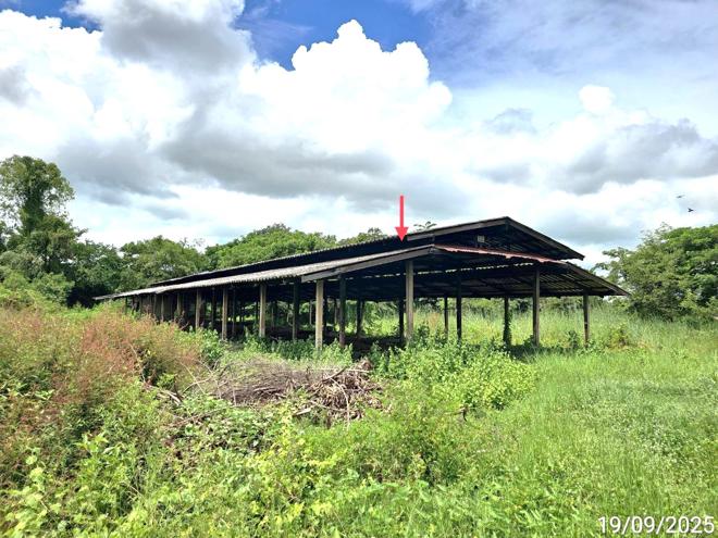 รูป บ้านเดี่ยว 2774.6 ตร.วา พรหมพิราม พิษณุโลก 2.6M - รูปที่ 16/49