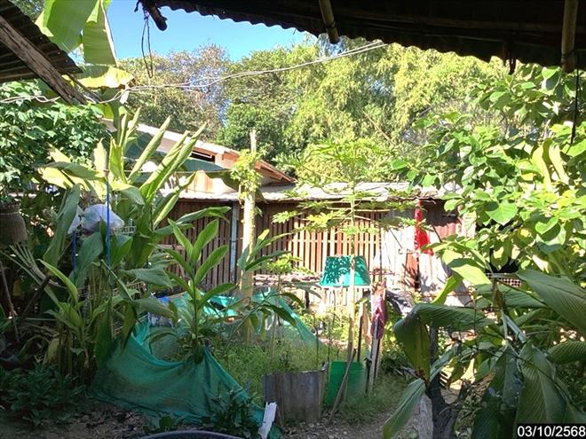 picture HOME 171 Sq.w. Muang Nakhon Phanom Nakhon Phanom for 847,000 - 5/17