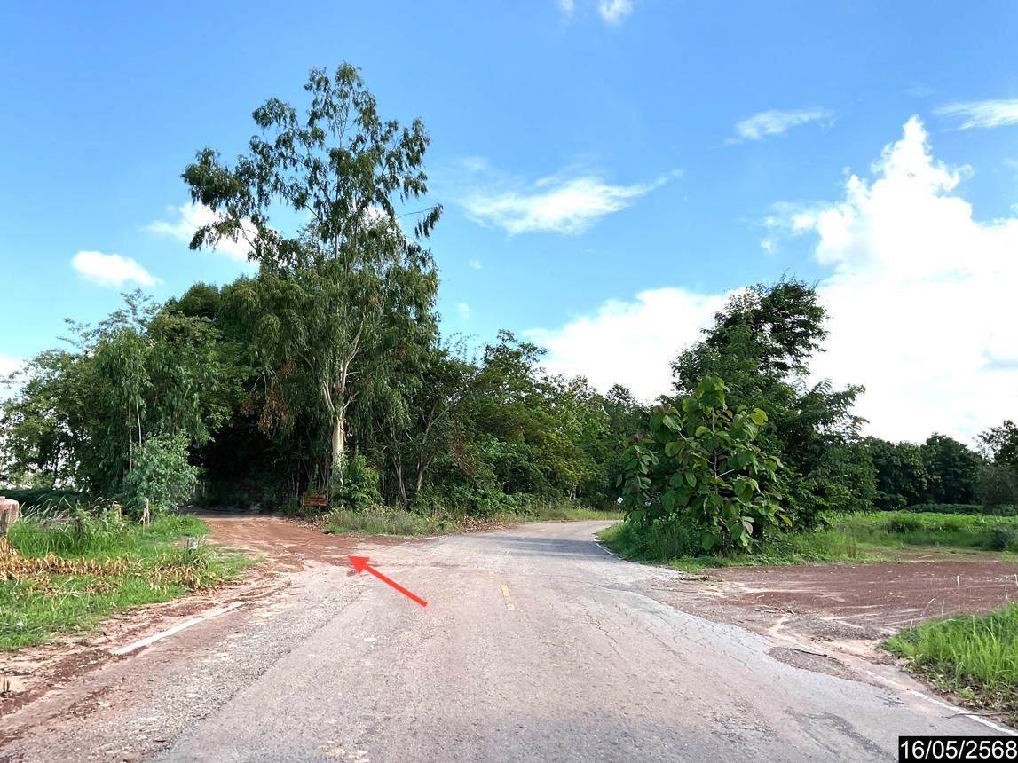 picture LAND 12300 Sq.w. Nong Han Udon Thani for 2.3M - 20/25