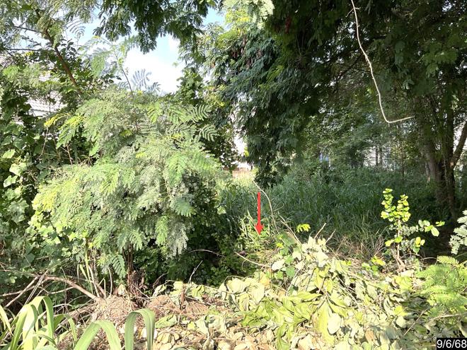picture LAND 80 Sq.w. Muang Khon Kaen Khon Kaen for 1.2M - 4/19