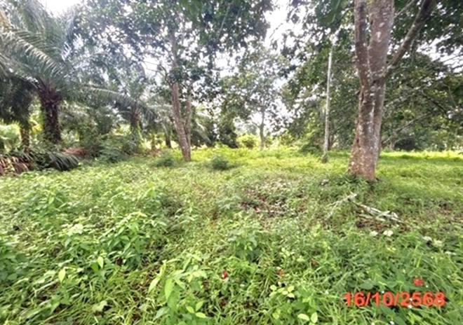 picture LAND 379.5 Sq.w. Muang Surat Thani Surat Thani for 1.7M - 8/21