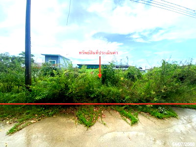 Land for sale Singha Nakhon Songkhla : LAND 249 Sq.w. Singha Nakhon Songkhla for 3.4M