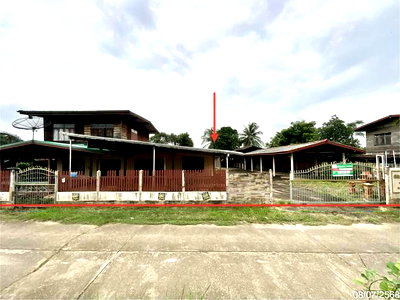 บ้านเดี่ยว รัตนวาปี หนองคาย : บ้านเดี่ยว 250 ตร.วา รัตนวาปี หนองคาย 2.4M