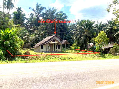 บ้านเดี่ยว สุราษฎร์ธานี : บ้านเดี่ยว 265 ตร.วา ชัยบุรี สุราษฎร์ธานี 1.7M
