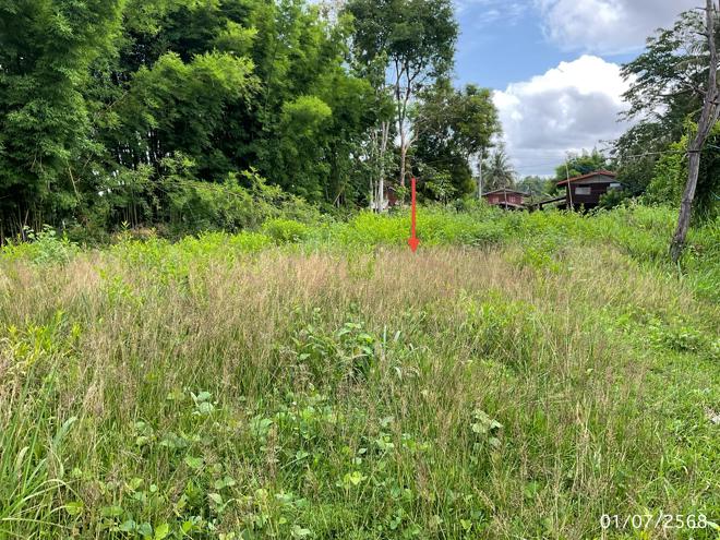 picture LAND 208 Sq.w. Pho Sai Ubon Ratchathani for 142,000 - 5/21