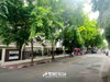 listing thumbnail image 25
