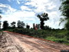 listing thumbnail image 12