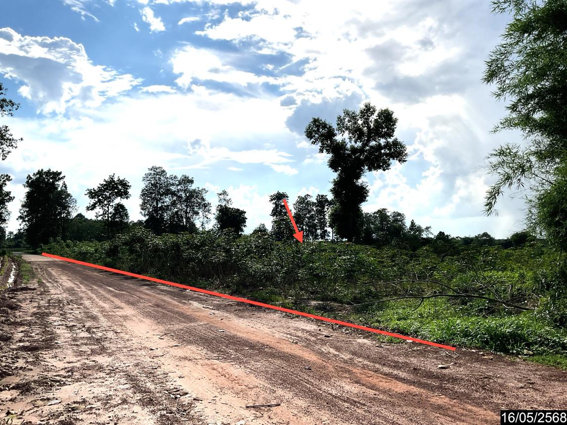 picture LAND 12300 Sq.w. Nong Han Udon Thani for 2.3M - 13/25