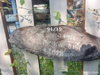 listing thumbnail image 26